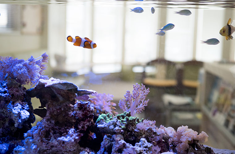 医療法人 慶樹会 大安歯科医院